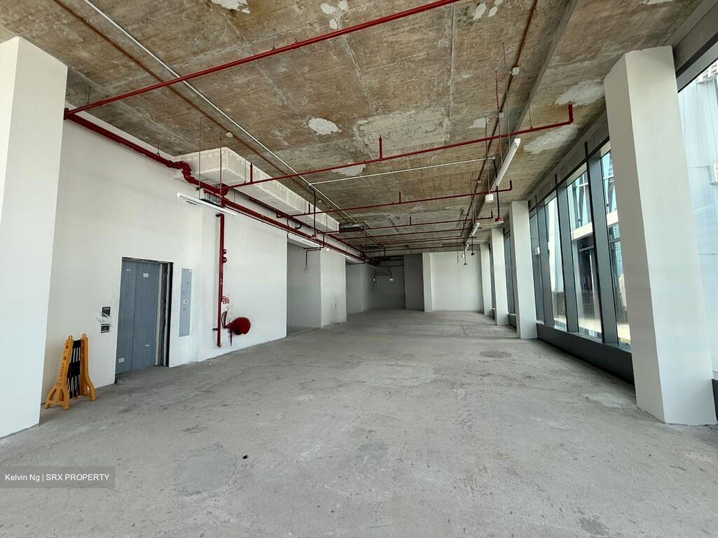 PS100 (D2), Retail #477001611